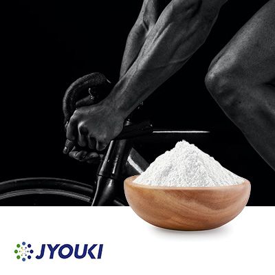 Alpha GPC 50% Powder with Maltodextrin by Jyouki