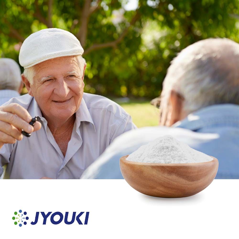 Alpha GPC 50% Powder by Jyouki