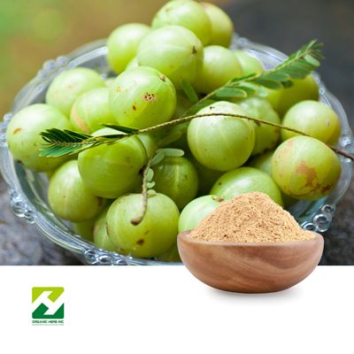 Amla Extract 40% Tannins by Organic Herb Inc