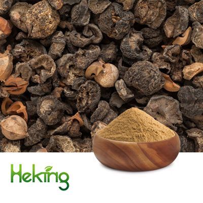 Amla extract 10:1 by Heking