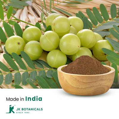 Amla powder Steam treated by JK Botanicals