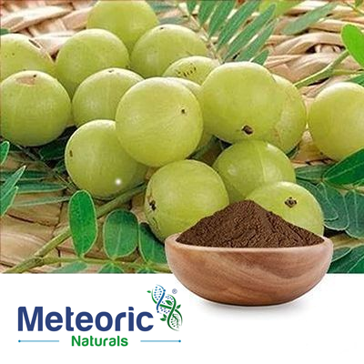 Amla Extract 40% Tannins by Titration by Meteoric Naturals