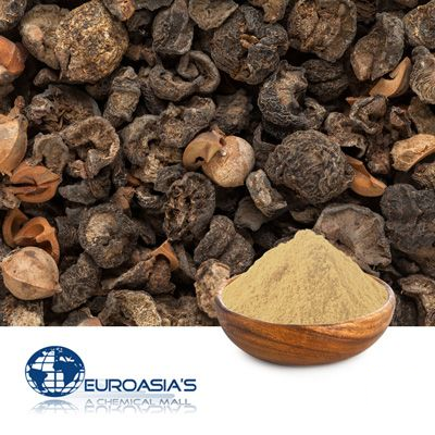 Amla Fruit Powder by Euroasias Ingredients