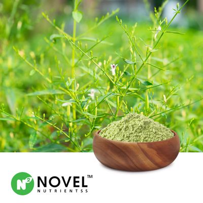 Andrographis Paniculata Extract 90% Andrographolide by HPLC by Novel Nutrientss