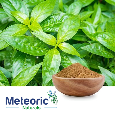 Andrographis Paniculata Extract 10% HPLC by Meteoric Naturals