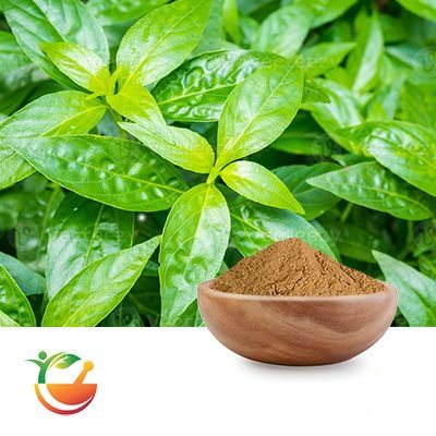 Andrographis Paniculata Extract 10% HPLC by Panacea Phytoextracts