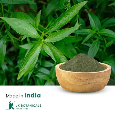 Andrographis Paniculata Extract 4:1 by JK Botanicals