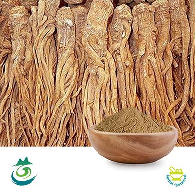 Angelica Extract 10:1 powder by Shaanxi Baichuan Kangze