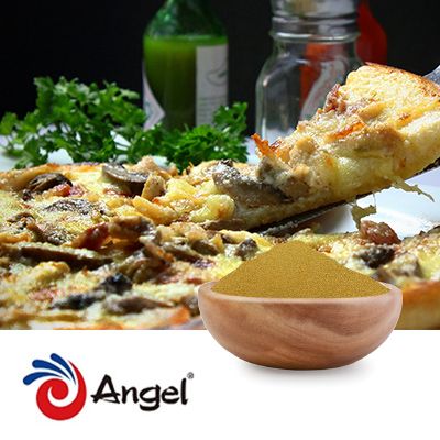 Angeoboost - High-glutamic-acid Yeast Extract FGA012 by Angel Yeast