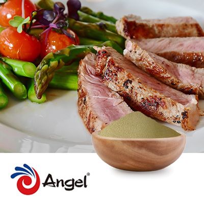 Angeoprime -Umami Yeast Extract KA804 by Angel Yeast