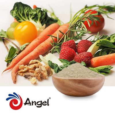 Bulk AngeoPro- High Content Yeast Protein F80 | Ingredients Online