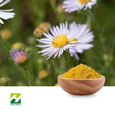 Chamomile Extract 1.2% Apigenin by Organic Herb Inc