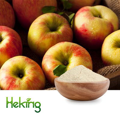 Apple Cider Vinegar powder 5%Total Acidity by Heking