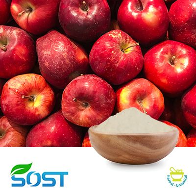 Apple Powder by SOST