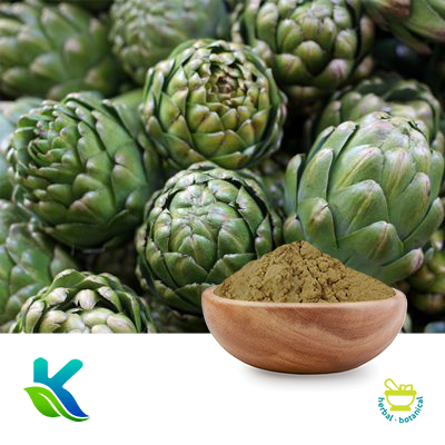 Artichoke Extract 10:1 by Hunan Naturext