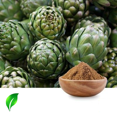 Artichoke Extract 5% Cynarin UV by Changsha Sunnycare