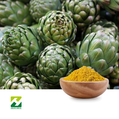 Artichoke Extract 5% Cynarin UV  by Organic Herb Inc