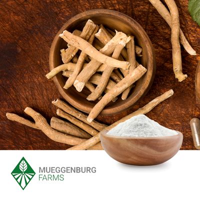 Ashwagandha Root, Powder by Mueggenburg USA