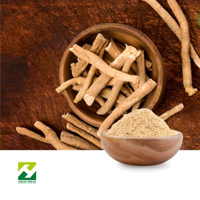 Ashwagandha Extract 10:1 by Organic Herb Inc