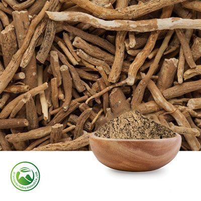 Ashwagandha Root Extract 10:1 (Scopolamine Free) by Xi'an Herbs Valley