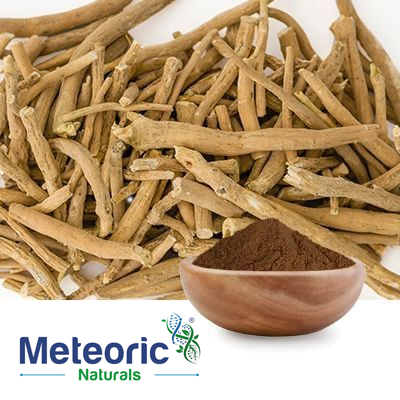Ashwagandha Extract 5% HPLC by Meteoric Naturals