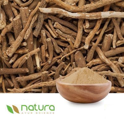 Ashwagandha Extract Powder 1.5% Withalanoides by HPLC by Natura Ayur Science