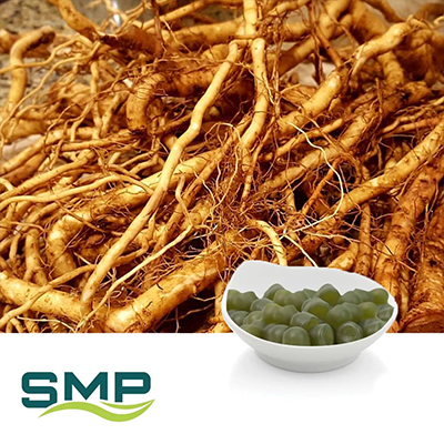 Ashwagandha Root Gummies 1,500mg** + Vitamin D & Zinc Citrate by SMP