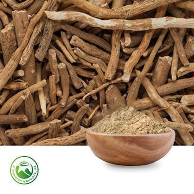 Ashwagandha Root Powder (Scopolamine Free) by Xi'an Herbs Valley