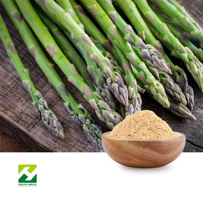 Asparagus Extract 10:1 by Organic Herb Inc
