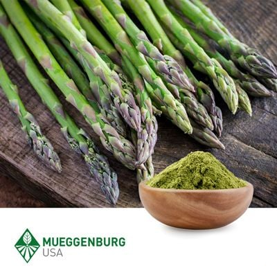 Asparagus Shoot, Powder by Mueggenburg USA