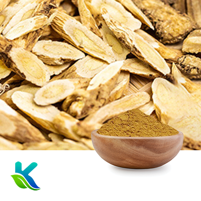 Astragalus Extract 50% Polysaccharides by Hunan Naturext