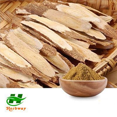 Astragalus Extract 50% Polysaccharides by Changsha Herbway