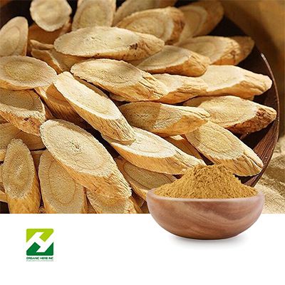 Astragalus Extract 70% Polysaccharide UV by Organic Herb Inc
