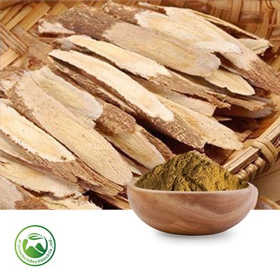 Astragalus Root Extract 50% Polysaccharides (10:1) By UV by Xi'an Herbs Valley