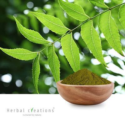 Azadirachta indica Extract 5% Bitters By Gravimetry by Herbal Creations