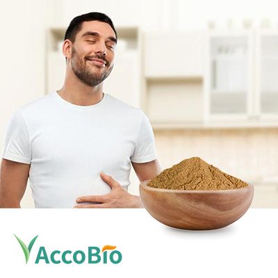 Bacillus Coagulans by AccoBio