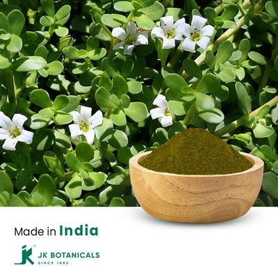 Bacopa Monnieri Extract 20% Bacosides by UV by JK Botanicals