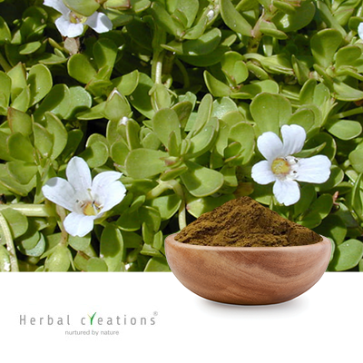 Bacopa Monnieri Extract 50% Total Bacosides Content By UV by Herbal Creations