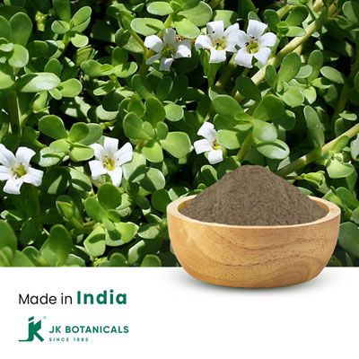 Bacopa Monnieri Powder Steam Treated by JK Botanicals