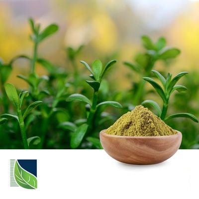 Bacopa monnieri extract 20% by Botanic Healthcare