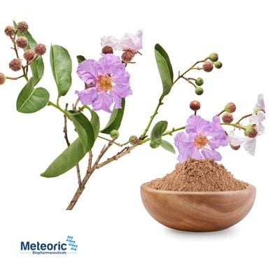 Banaba Extract 1% Corosolic Acid HPLC  by Meteoric Biopharmaceuticals