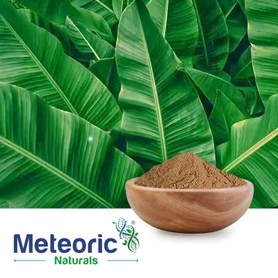 Banaba Extract 1% Corosolic Acid by HPLC by Meteoric Naturals