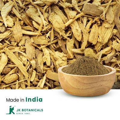 Barberry Root Powder Steam Treated by JK Botanicals