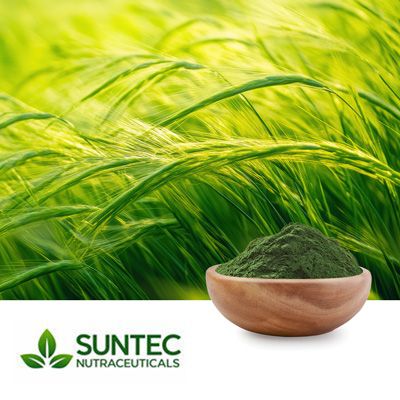 Barley Grass Juice Powder by Suntec Nutraceuticals