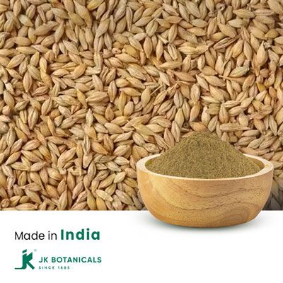 Barley Powder Steam Treated by JK Botanicals