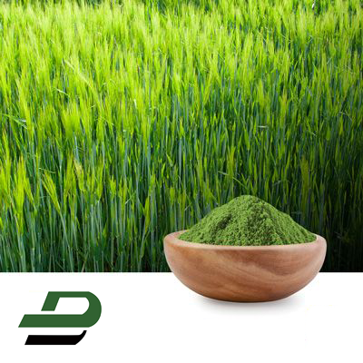 Barley Grass Powder by Xinghua Dongbao