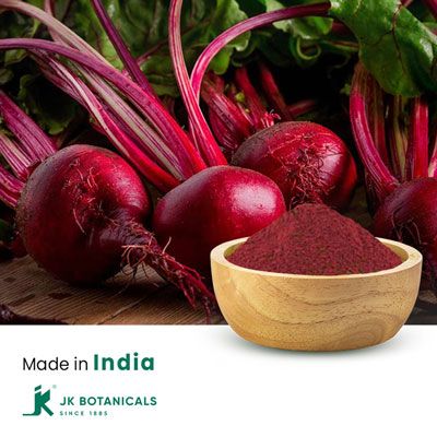 Beet Root Powder Steam Treated by JK Botanicals