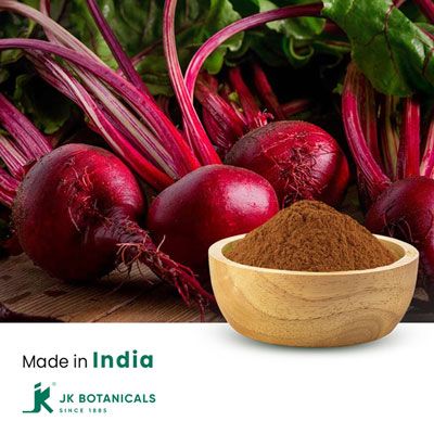 Beet Root Powder Steam Treated by JK Botanicals
