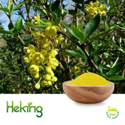 Berberine 5% Powder by Heking