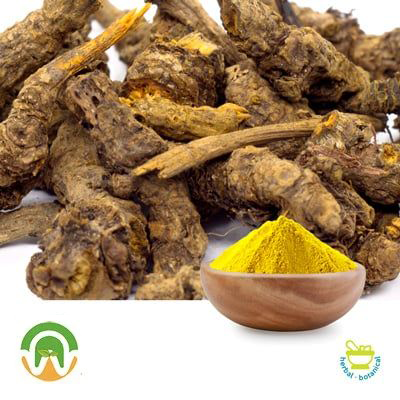 Berberine HCL 97% Granular by Wellness Nutrition